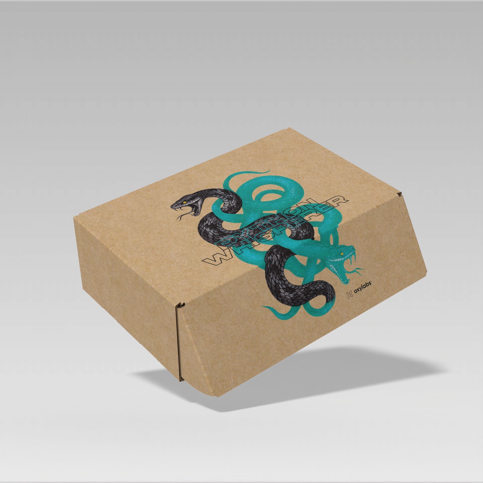 FEFCO Dėžutė 22x35x7cm Custom print